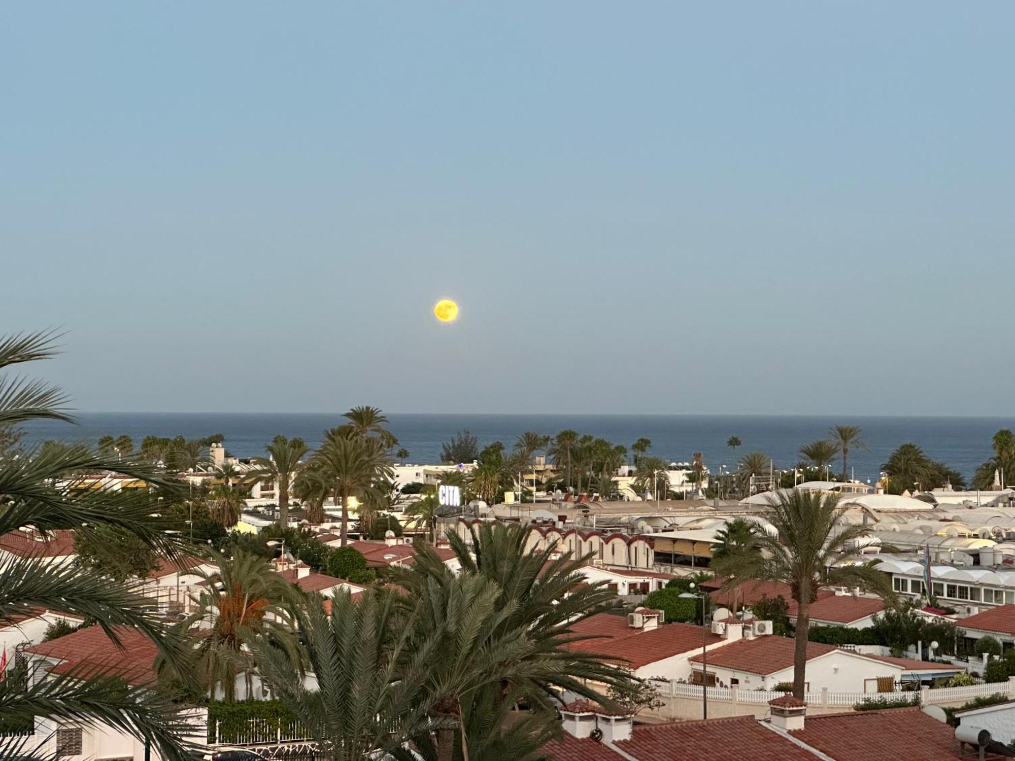 Apartamento Tamaran Sky Playa del Inglés Exterior foto